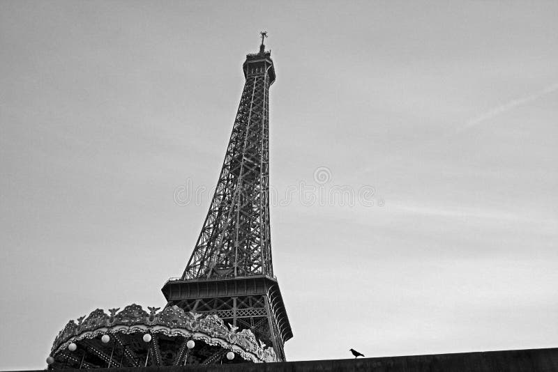 Путешествие Eiffel и птица стоковые фото