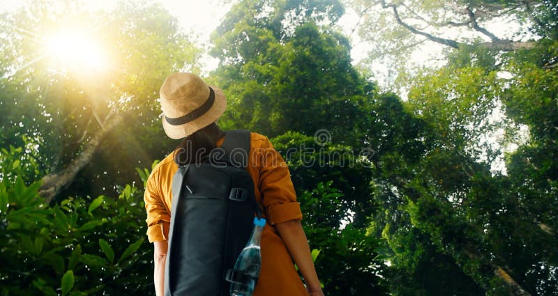 Путешествовать женщина с рюкзаком наслаждаясь на исследовать и trekking в тропическом лесе Азии, туристский путешественник на пре стоковые фото Путешествовать женщина с рюкзаком наслаждаясь на исследовать и trekking в тропическом лесе Азии, туристский путешественник на пре стоковые фото
