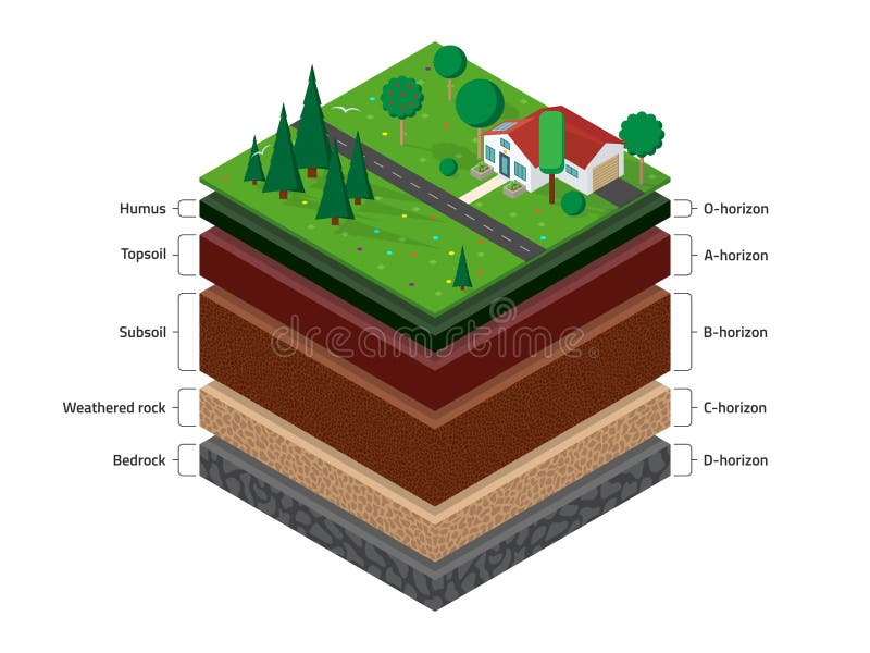 Isometric named layers of soil with a top layer of green grass, house, forest, garden and road on it. The stratum of organic, minerals, sand, clay. Isometric named layers of soil with a top layer of green grass, house, forest, garden and road on it. The stratum of organic, minerals, sand, clay.