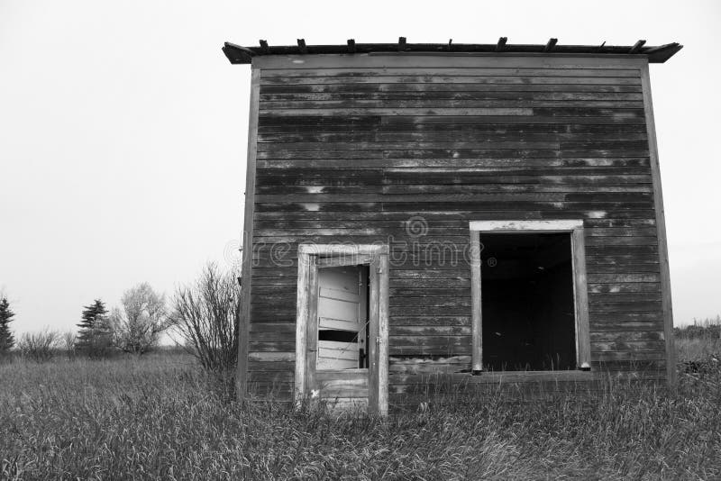 A small shack left abandoned in a corn field. A small shack left abandoned in a corn field