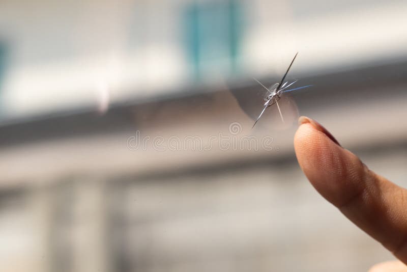 Broken windshield of car. A web of radial splits, cracks on the triplex windshield. Broken car windshield. Broken windshield of car. A web of radial splits, cracks on the triplex windshield. Broken car windshield.