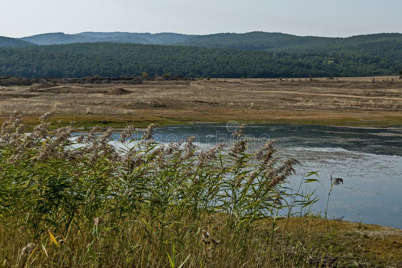 Разделите с тростником, тростником, communis или поспешите, Juncus запруды, резервуар или заграждение Ognyanovo на реке Lesnovska стоковая фотография rf Разделите с тростником, тростником, communis или поспешите, Juncus запруды, резервуар или заграждение Ognyanovo на реке Lesnovska стоковая фотография rf