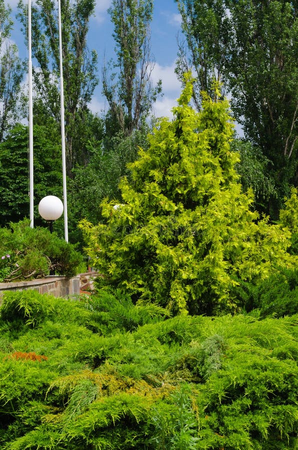 Разнообразие цвета, деревья и формы улиц города o стоковое изображение rf Разнообразие цвета, деревья и формы улиц города o стоковое изображение rf