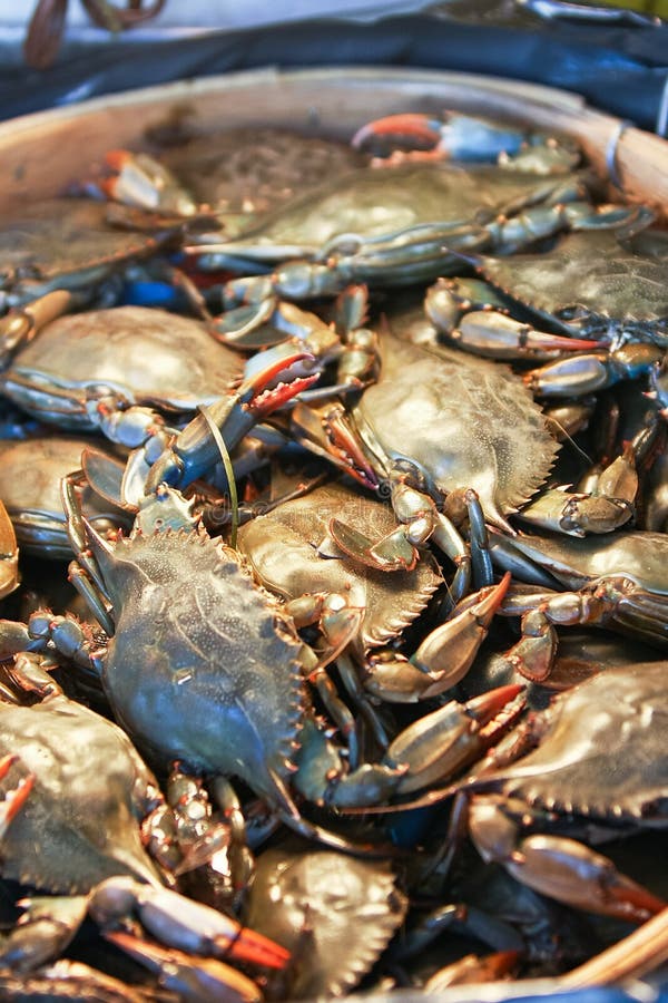 Crab seafood in Chinese market. Crab seafood in Chinese market