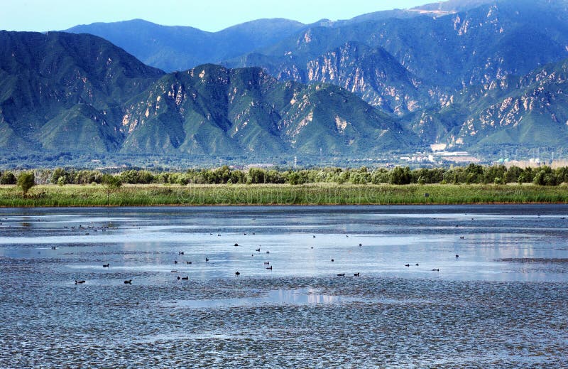 ранней осенью горная местность wetland пейзаж стоковая фотография rf