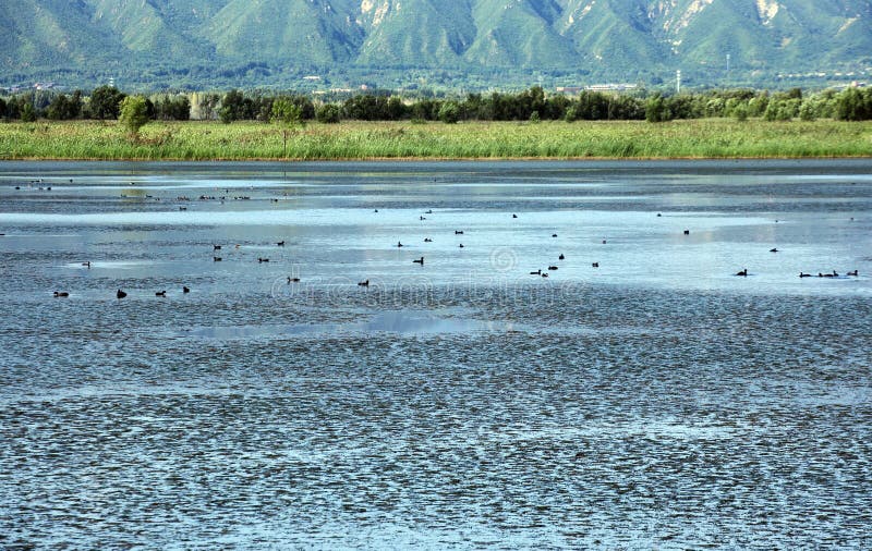 ранней осенью горная местность wetland пейзаж. стоковые изображения rf