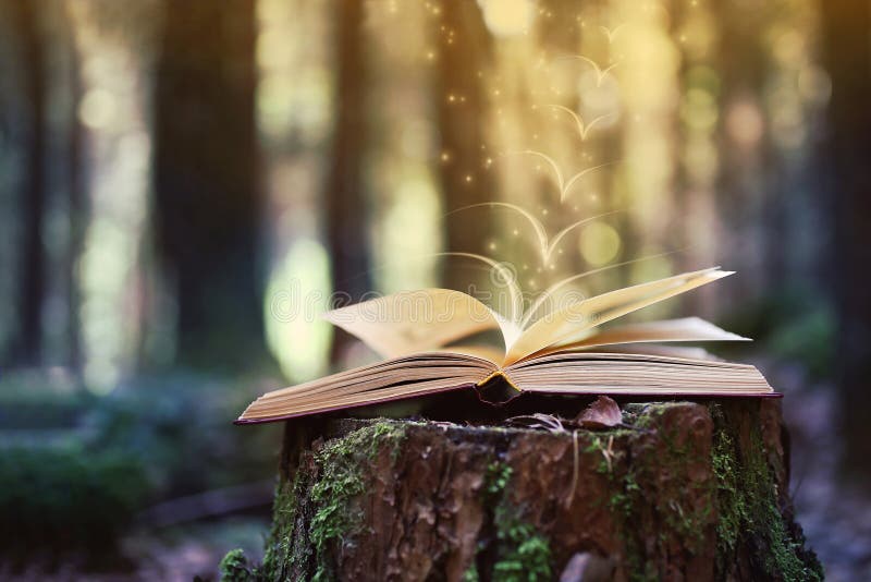 Раскройте книги внешние Знание сила Запишите в книге леса на пне стоковые фото Раскройте книги внешние Знание сила Запишите в книге леса на пне стоковые фото