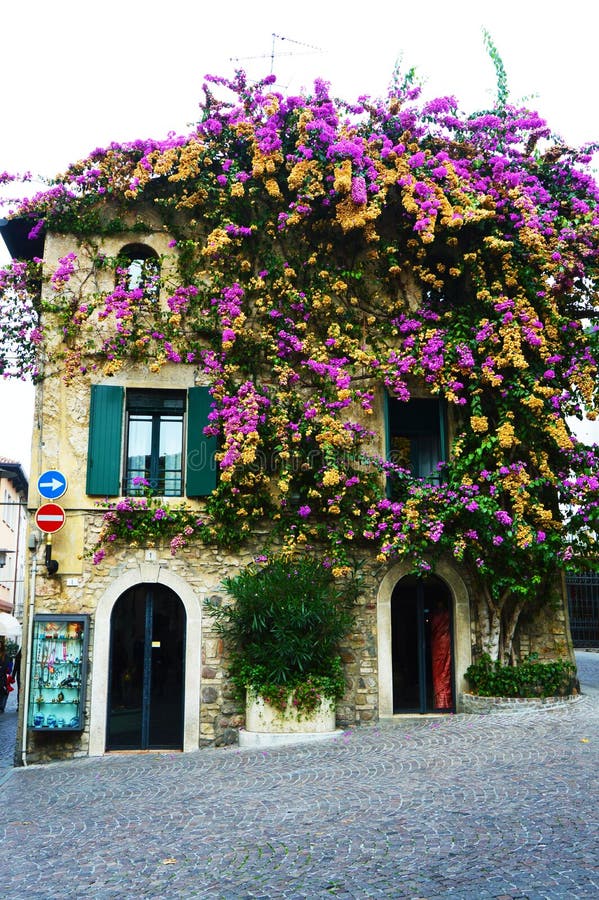 Расцветанный дом в Sirmione, озере Garda, Италии стоковые фотографии rf Расцветанный дом в Sirmione, озере Garda, Италии стоковые фотографии rf