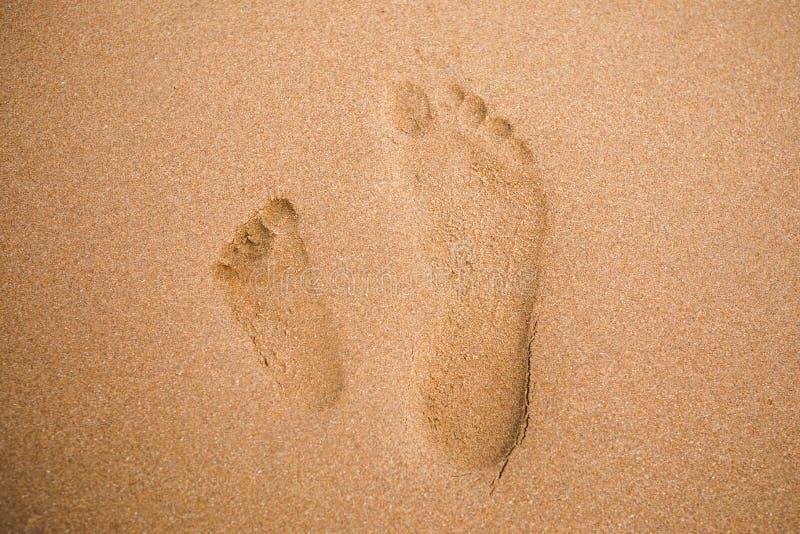 Child and adult footprints on sand beach, close-up view. Child and adult footprints on sand beach, close-up view