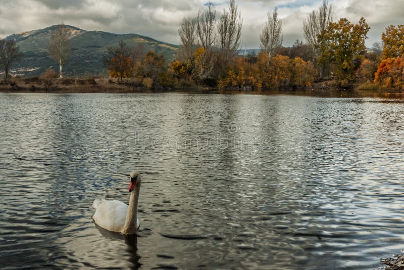 Резервуары, отражения воды и красивые небеса стоковое фото Резервуары, отражения воды и красивые небеса стоковое фото