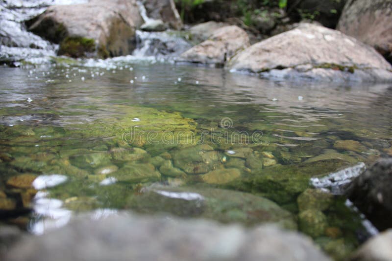 Река горы небольшой водопад на реке с кристально чистой водой, которая течет среди серых камней в лесу на стоковое изображение