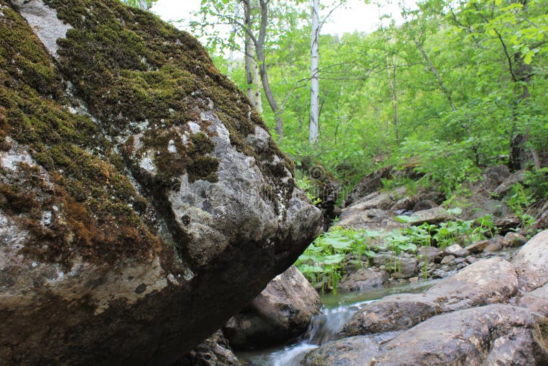 Река горы небольшой водопад на реке с кристально чистой водой, которая течет среди серых камней в лесу на. Большие камни около пруда. Большой водопад на скалистом областью. Высокое качество изображения.