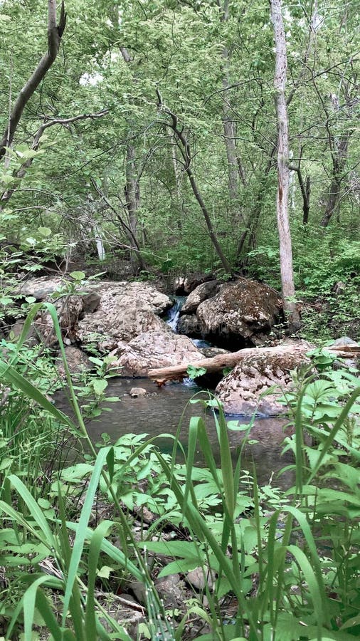 Река горы небольшой водопад на реке с кристально чистой водой, которая течет среди серых камней в лесу на стоковая фотография