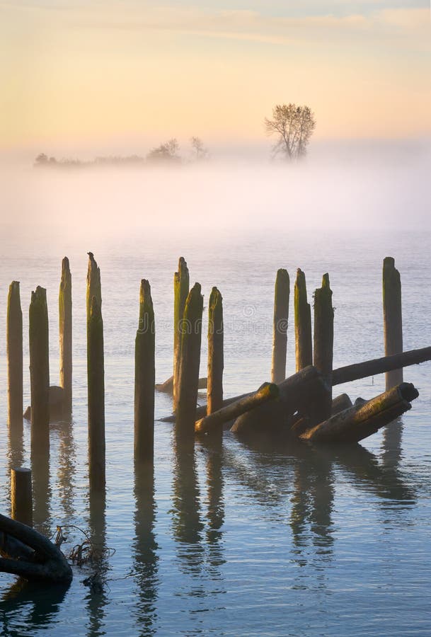 Fog rising over the Fraser River in the morning. Fog rising over the Fraser River in the morning.