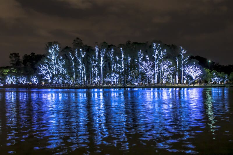 Christmas Tree lightened at night in Sao Paulo Brazil. Christmas Tree lightened at night in Sao Paulo Brazil