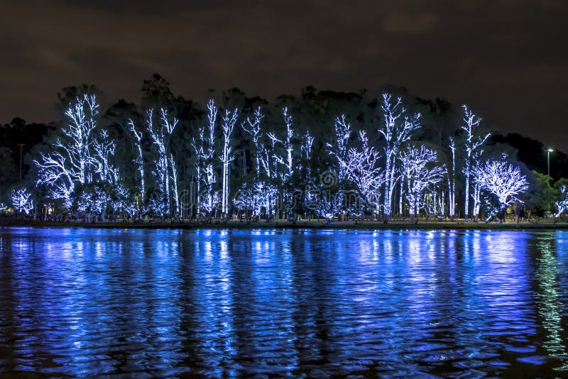 Christmas Tree lightened at night in Ibirapuera park, south of Sao Paulo Brazil. Christmas Tree lightened at night in Ibirapuera park, south of Sao Paulo Brazil