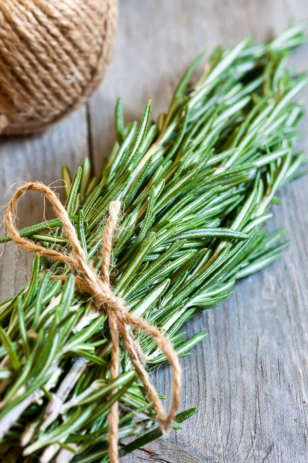 Bunch of rosemary on old wooden table. Selective focus. Bunch of rosemary on old wooden table. Selective focus.