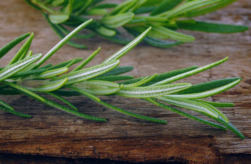 Rosemary spice on wood background. Rosemary spice on wood background