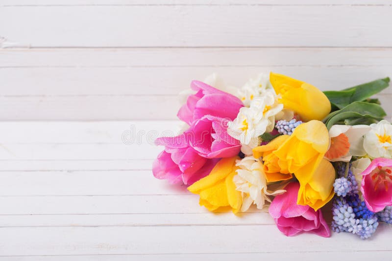 Розовое, желтое, белое и голубое flowe тюльпанов и daffodils весны стоковое фото Розовое, желтое, белое и голубое flowe тюльпанов и daffodils весны стоковое фото