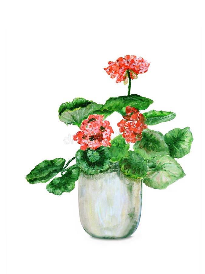 Розовые гераниумы на бело- oilpainting иллюстрация вектора