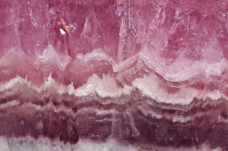 Assistantua - Photographer profile