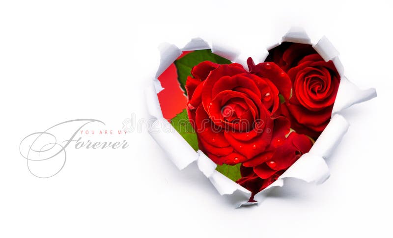 Art banner design of red roses and the paper heart on Valentine Day. Art banner design of red roses and the paper heart on Valentine Day