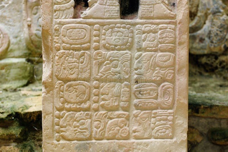 Руины Майя Yaxchilan в Мексике стоковые изображения Руины Майя Yaxchilan в Мексике стоковые изображения