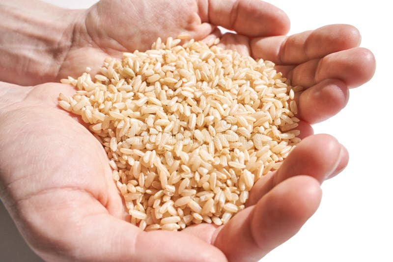 A hand, filled with hope, holds brown rice, aiding global efforts against hunger. The grains symbolize diverse cultures and organic, nutritious food. A hand, filled with hope, holds brown rice, aiding global efforts against hunger. The grains symbolize diverse cultures and organic, nutritious food.