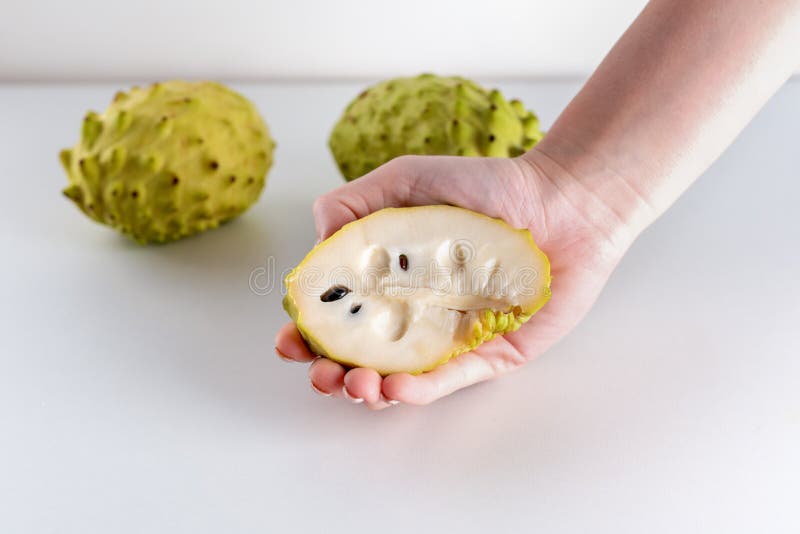 Руки женщины держа плод Annona на белой предпосылке стоковое фото rf Руки женщины держа плод Annona на белой предпосылке стоковое фото rf