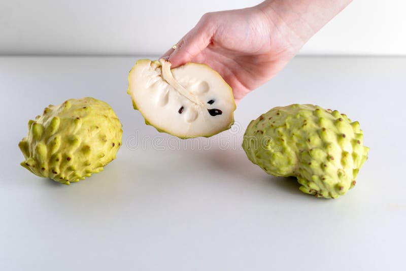 Руки женщины держа плод Annona на белой предпосылке стоковое фото rf Руки женщины держа плод Annona на белой предпосылке стоковое фото rf