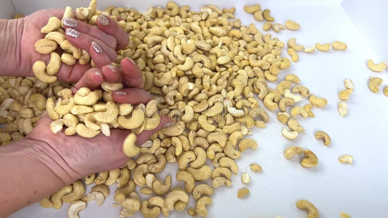 руки сортируют и гладят женские руки вкусными орехами кешью на светлом фоне горстки семян кешью