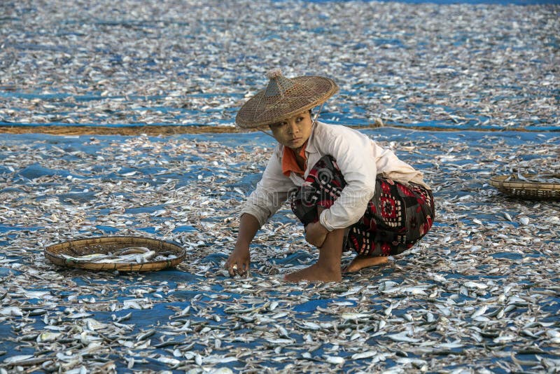 Рыбацкий поселок - пляж Ngapali - Myanmar стоковое фото Рыбацкий поселок - пляж Ngapali - Myanmar стоковое фото