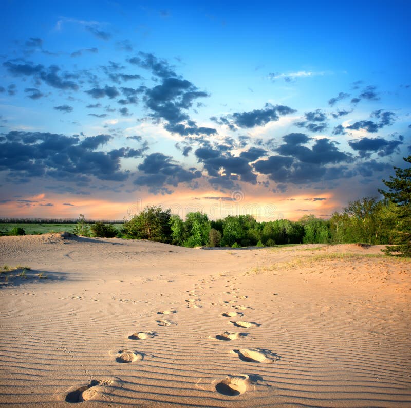 Footprints in the sand in desert at sunset. Footprints in the sand in desert at sunset