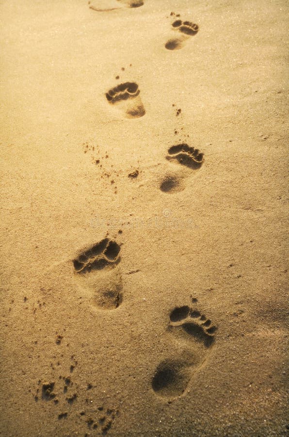 Footprints in the sand at sunset. Footprints in the sand at sunset