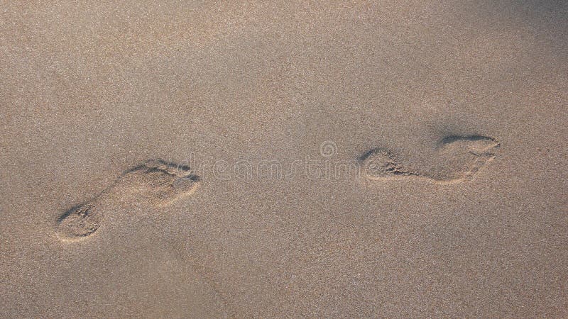 Footprints in the sand on the beach. Footprints in the sand on the beach