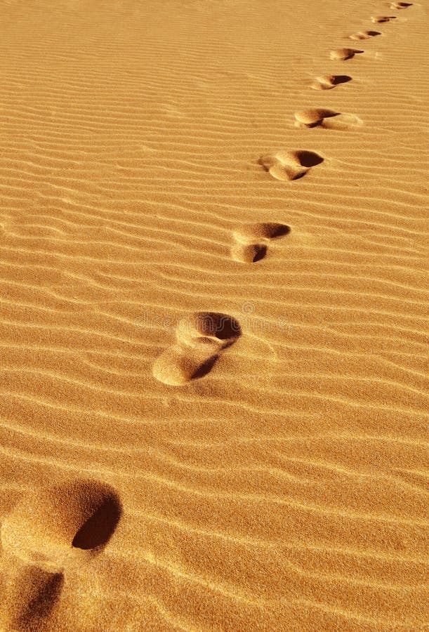 Footprints on sand in the desert. Footprints on sand in the desert