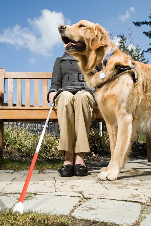 Blind women and a guide dog. Blind women and a guide dog