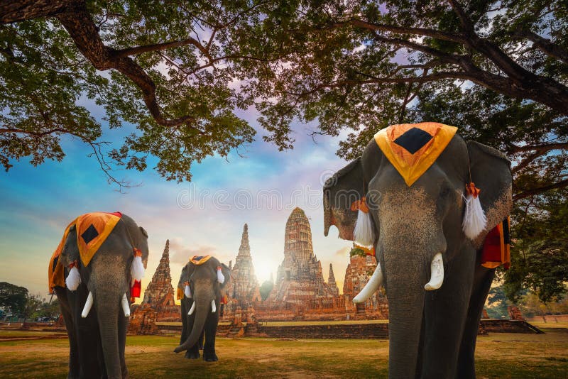 Слоны на виске Wat Chaiwatthanaram в парке Ayuthaya историческом, месте всемирного наследия ЮНЕСКО, Таиланде Слоны на виске Wat Chaiwatthanaram в парке Ayuthaya историческом, месте всемирного наследия ЮНЕСКО, Таиланде