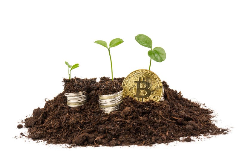 Get the Latest from CoinDesk