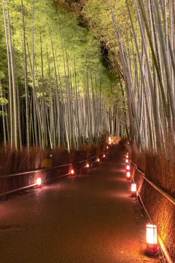 Сад дзэна рощи Arashiyama бамбуковый освещает вверх вечером стоковое фото rf Сад дзэна рощи Arashiyama бамбуковый освещает вверх вечером стоковое фото rf