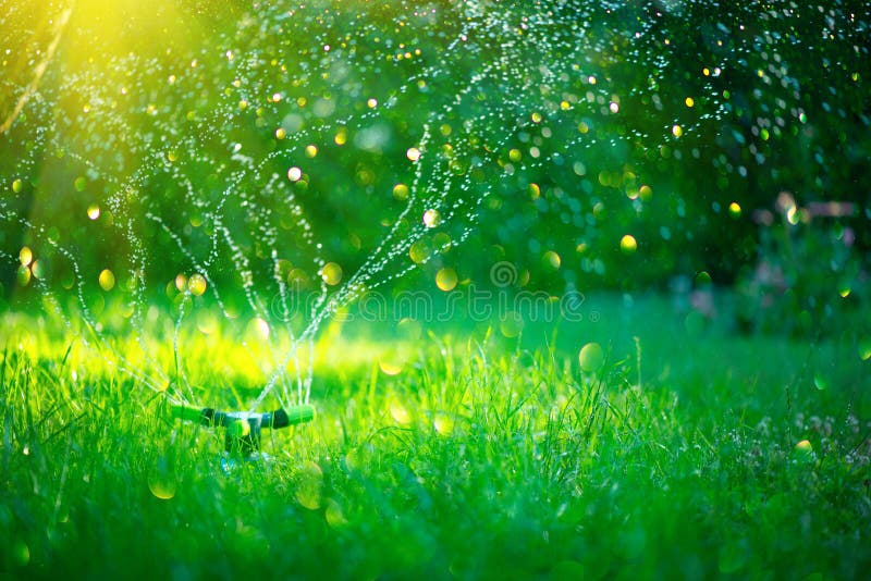 Garden, Grass Watering. Smart garden activated with full automatic sprinkler irrigation system working in a green park, watering lawn, flowers and trees. sprinkler head watering. Gardening concept. Garden, Grass Watering. Smart garden activated with full automatic sprinkler irrigation system working in a green park, watering lawn, flowers and trees. sprinkler head watering. Gardening concept