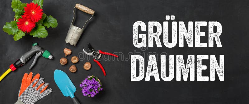 Садовые инструменты на темном немецком daumen gruener большого пальца зеленого цвета фона стоковые фото
