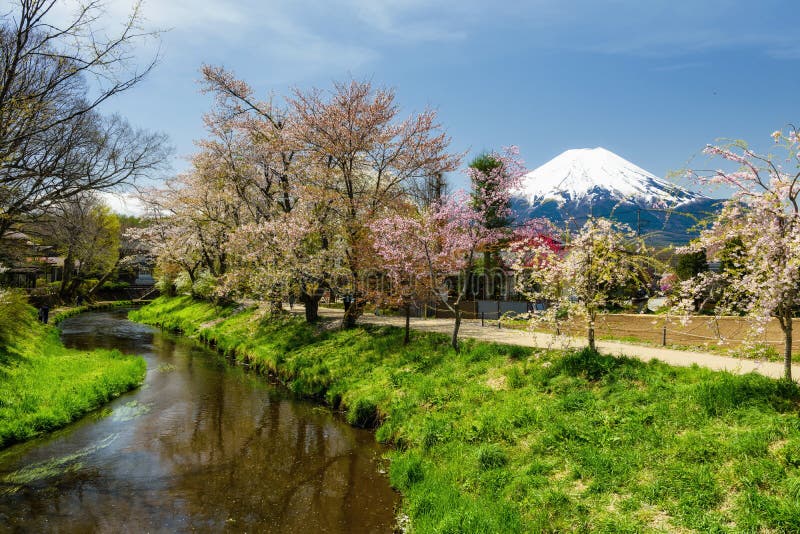 Сакура на Oshino Hakkai с Mount Fuji стоковые изображения rf Сакура на Oshino Hakkai с Mount Fuji стоковые изображения rf