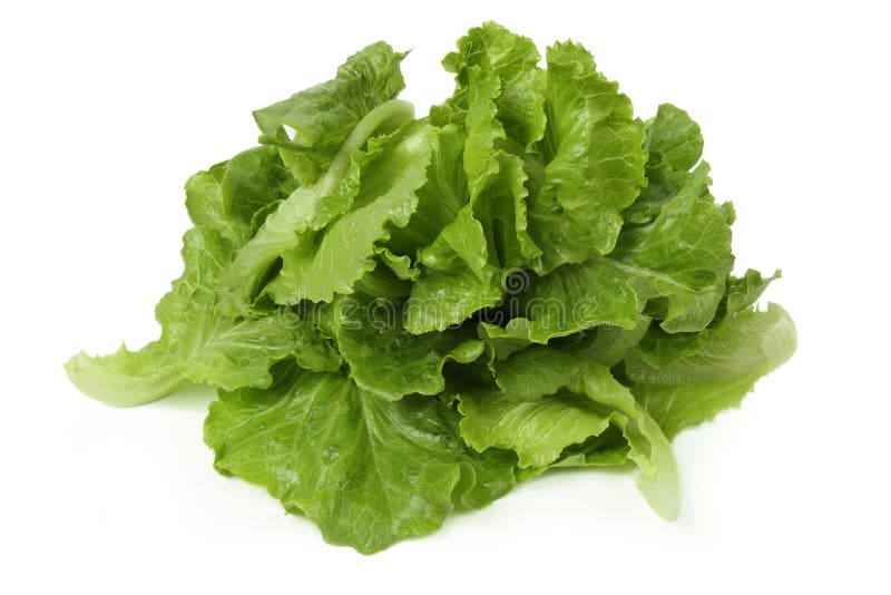 Some vegetables ingredient of the lettuce leaves. Some vegetables ingredient of the lettuce leaves