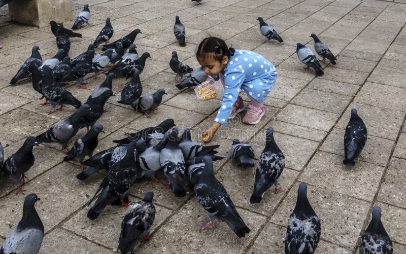 Sarajevo, Bosnia - May 2, 2022 - Young girl feeds the pigeons in a park. Sarajevo, Bosnia - May 2, 2022 - Young girl feeds the pigeons in a park.