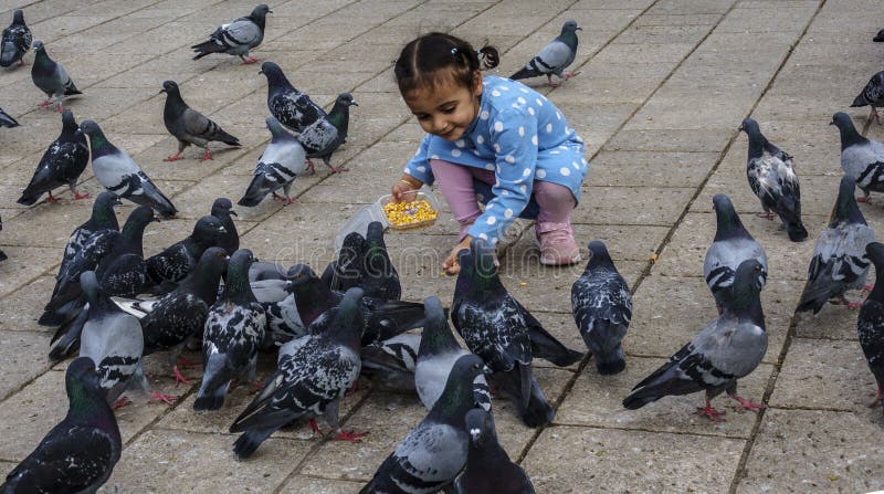 Sarajevo, Bosnia - May 2, 2022 - Young girl feeds the pigeons in a park. Sarajevo, Bosnia - May 2, 2022 - Young girl feeds the pigeons in a park.