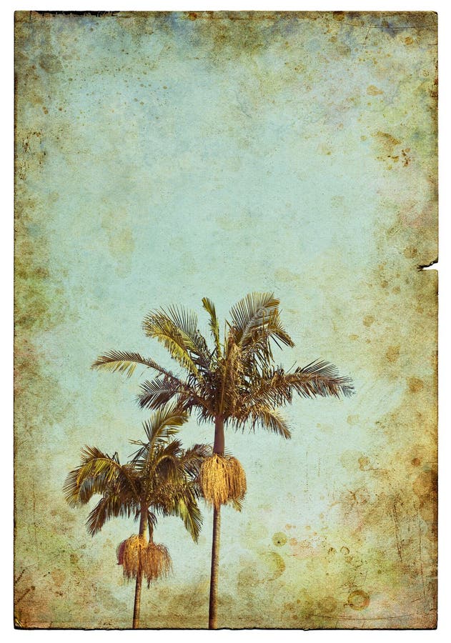 A damaged old postcard with two palm trees in the foreground. A damaged old postcard with two palm trees in the foreground.