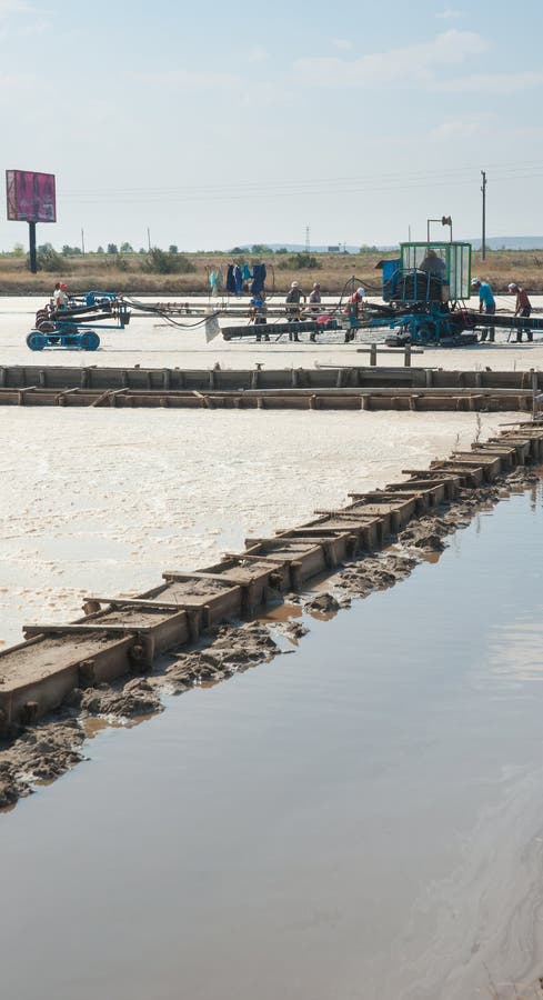 Сбор соли в болгарском побережье Чёрного моря стоковые изображения