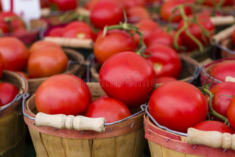 Свежая продукция стоковое фото Свежая продукция стоковое фото
