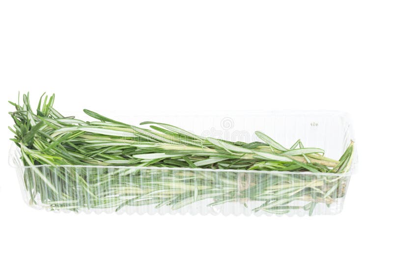 Fresh rosemary lies in a transparent plastic tray. Fresh rosemary lies in a transparent plastic tray